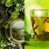Yeşil Çay Tüketiminin Faydaları